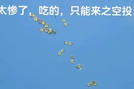 同是一片天空，命运各有不同啊！#amani #愿世界和平永无战争