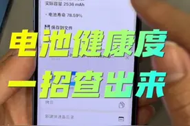 苹果换了国产电池后没健康度！一招教你查询#iphone使用技巧
