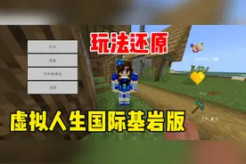 我的世界：国际版虚拟人生 官方授权汉化模拟人生#我的世界