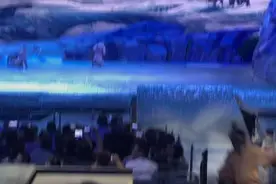 西安驼铃传奇秀，真的值得一看！特别适合带孩子一起呀！视频封面