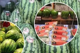 为什么不把国内西瓜，出口到韩国？#科技周周 #科技启示录 #西瓜 #韩国视频封面