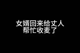 去丈人家就要好好表现表现是不是@淘气巧 这应该是农村娃的必备技能吧#女婿回丈母娘家 #收麦视频封面