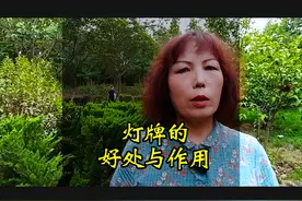 灯牌的好处与作用##抖音基础知识#自媒体视频封面