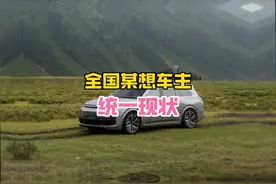 提问：200个车位的停车场能停多少辆理想？#三国 #理想 #抖音精选