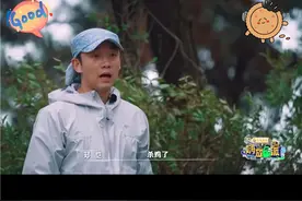 大小姐不让林依轮杀鸡，凯凯最后收养了大小姐，当别人都在夸大小姐的时候，凯凯已经在想给它买什么颜色的狗窝了吧#嗨放派 #郑恺视频封面