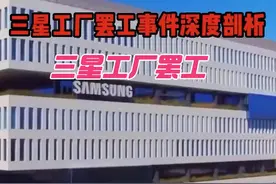 三星印度工厂罢工：薪资与职位世袭争议#农民关心的热门话题视频封面