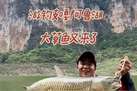 游钓支嘎阿鲁湖，这里的大草鱼怎么钓，一起来看看#原来钓鱼才是抖音运动顶流 #钓鱼的乐趣只有钓鱼人懂 #钓鱼人就是这么疯狂 #这鱼哪个钓友看了不羡慕视频封面