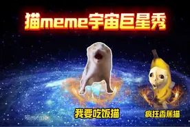 猫meme宇宙巨星秀 #猫meme #猫meme小剧场 #表情包 #明星 #表情包视频封面