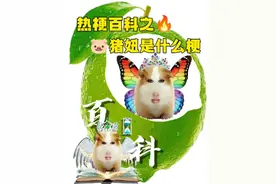 猪妞是什么梗？#热梗指南 #热梗百科 #猪妞是什么梗 #互联网热梗 这个梗是对玩抽象的人带有善意的称呼，意思是“宝子”“抽象的人”“你真有趣”，他/她们通常使用这类表情包，经常把我不行了，宝子你继续，仙女下凡挂嘴边。他们喜欢玩抽象，心胸大格局大，有梗且会融会贯通，思维敏捷，灵活婉转且恰到好处，能够给身边的人带来快乐，他们拥有大量的知识储备，能够透过现象看本质，有创意，性格好，心地善良，平易近人，是颜值与才华并重，智商与情商兼具的隐藏高手。