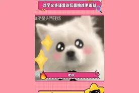 #刘学义吴谨言说后面吻戏更羞耻 #春花焰 这下我可真是更期待后面的剧情了!#吴谨言 #刘学义视频封面