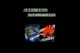 有太多关键领域真的只能依靠华为！#华为 #高新技术企业 #昇腾视频封面