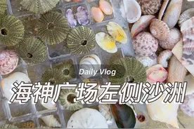 大墩海海神广场左侧沙洲 可导航海神广场，海沟和沙洲都有，沙洲上贝壳挺多的我脚痛随便捡了点，这期颜色不是很丰富，胜在有挺多海胆壳，比老街的干净漂亮，五一去捡点贝壳吧#捡贝壳 #北海#自然奇境科普季 #自然给你点颜色看看 #春日盛放视频封面