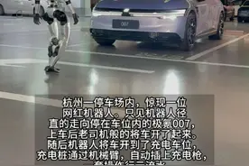 停车场惊现网红机器人，开车充电行云流水，莫非这就是真的“无人驾驶” #极氪智驾坐稳第一梯队 #极氪