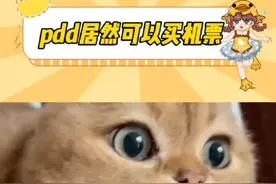 拼夕夕你让我感到陌生 #pdd #买机票 #万万没想到 #冷知识