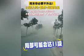 周末非必要不外出！淄博最新预警，11级大风天气！#淄博 #大风天气注意安全视频封面