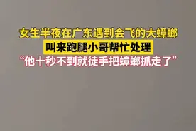女生半夜在广东遇到会飞的大蟑螂，叫来跑腿小哥帮忙处理。“他十秒不到就徒手把蟑螂抓走了”。来源：#小羊拍客 #南方蟑螂 #蟑螂杀手视频封面