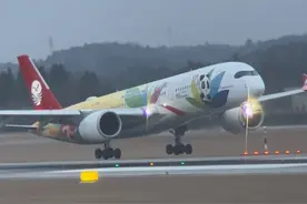 实拍成都机场一天1100架飞机起降#内容启发搜索 #一起看飞机视频封面