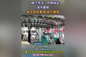 “A股不死鸟”中银绒业 退市警报！ 曾多次披星戴帽 破产重整#中银绒业视频封面