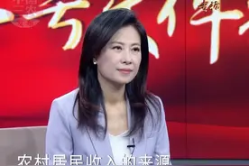 2025年中央一号文件：拓宽农民增收渠道 #中央一号文件视频封面