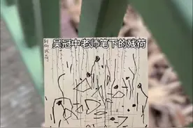 突然看懂了 吴冠中笔下的残荷视频封面