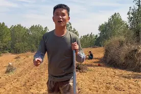 天天挖，挖不完，根本都挖不完。#抖音新农人 #新农人2024 #锄头挖地顺口溜 #锄头抡冒烟 #春耕视频封面