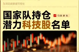 国家队持仓科技股名单揭晓！快来抢先投资！#股市分析# 视频封面
