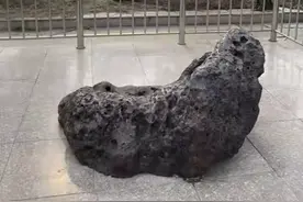 电视剧生万物，开场的天牛原型就在莒南县大铁牛庙村，是世界上最大的一块石铁陨石，此村因陨石形似天牛而得名“天牛庙村”，后改名大铁牛庙村#机位天才已就位 #机位标签激励计划 #电视剧生万物 #文旅临沂 #畅游沂蒙夏日爽