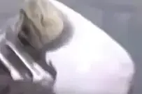 【龙骑禁军】绰号：幽狼、夜叉、鬼爪、黑虎、无常、火鹤、蝶影、冥使、长者、花彩蝶、影子。除了幽狼还活着，龙骑禁军的兄弟都被叛徒无常出卖消息被敌人杀害，而幽狼只是被偷袭晕过去关押审问，敌人告诉幽狼为了十万两银子出卖兄弟是龙骑禁军中武动最高的人，就是叛徒无常。沈荣和王兆兴为了给死去的兄弟们报仇，二人互相认为双方是叛徒，之后无常的手下扔出飞镖想杀他二人，沈荣发现原来叛徒是无常，沈荣死在王兆兴的霸王追魂枪下。王兆兴为了给沈荣和龙骑禁军所有兄弟报仇，在十里坡和无常做最后的了断。经过决斗幽狼使出霸王追魂双枪杀了无常给在天之灵的兄弟们报了仇。