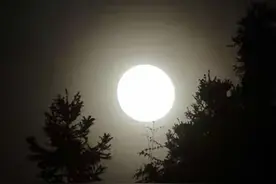 #虞书欣cos焦糖拿铁巡游 #虞书欣 #赵露思 #虞书欣刺激之夜