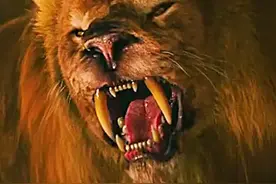 <9分钟完整版> 正在用浓硫酸泡澡的男人，突然被不明生物拽进水底，还没等男人反应过来，一只拥有九头的巨蟒就探出水面#影视解说 #电影推荐 #欧美电影 #每日推荐电影视频封面