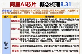 阿里AI芯片梳理视频封面