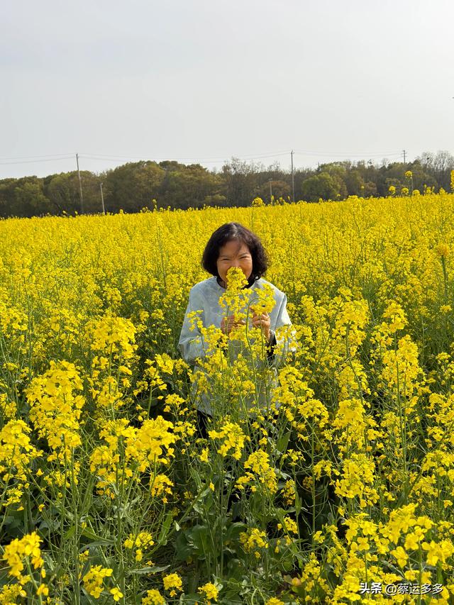 清明访千灯，顾园寄幽思