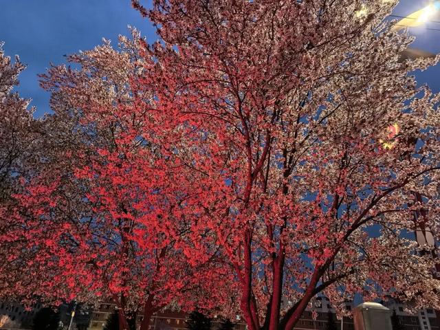 在两当，春天就要Color Walk→