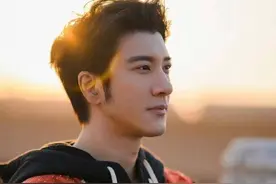 从封杀到封神，深陷沼泽的王力宏重回舞台，凭啥他能被央视力捧？图片