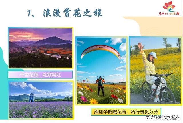 8大线路发布！GO~去延庆四季花海