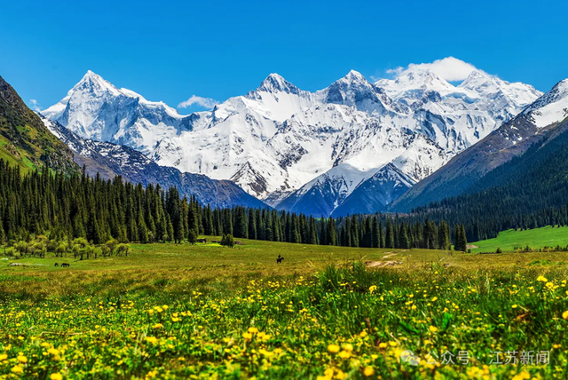 官宣：所有泰州人免费！江苏其他城市也有福利！