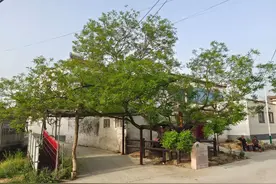 农民自建房通过验收可办理不动产登记有何意义？城市子女能继承吗？图片