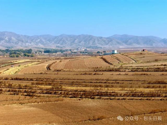包头“捡土豆” 攻略出炉