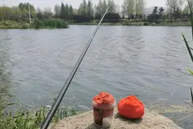 福建男子水中钓到美人“鱼”，如假包换！网友：用啥打的窝图片