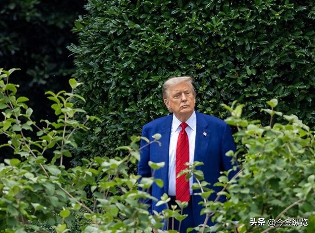 关税腰斩！瑞士大佬硬闯白宫，39%高税率被特朗普一刀砍到15%！