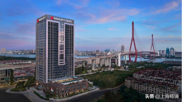 快来杨浦打卡！这条游玩线路有料又出片→