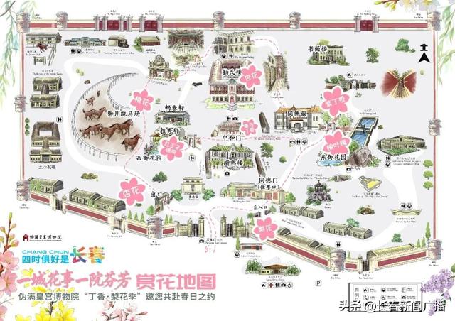 一城花事 一院芬芳——伪满皇宫博物院2026“丁香·梨花季”启幕