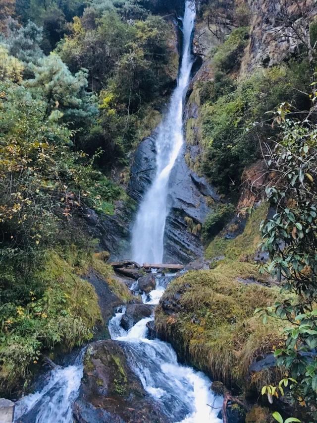 西藏不只有雪山！这片隐秘的江南，是冬季的天然氧吧和避寒仙境。