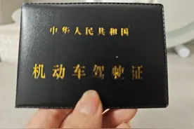 刚拿驾照，学车成本大揭秘，自动挡和手动挡区别在哪？图片