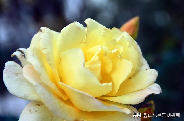 转了一个小圈·及其它