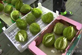 买到问题水果找上门 店员拒绝退款引纠纷图片