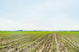 山西耕地总量连续三年稳中有升图片