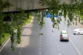 286个违规账号被清理！成都重拳整治驾培网络招生乱象图片