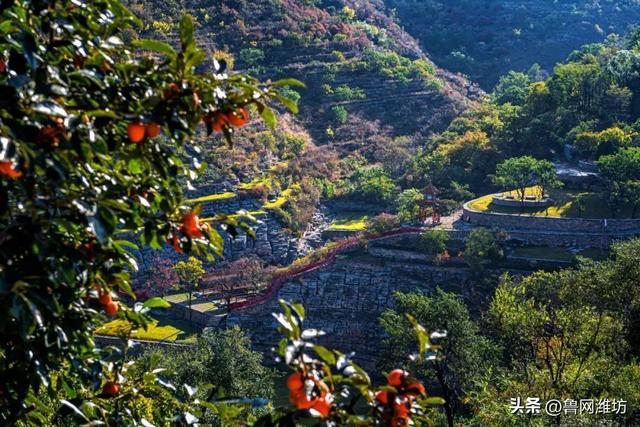 秋天的潍坊，是谁惊艳你的朋友圈？