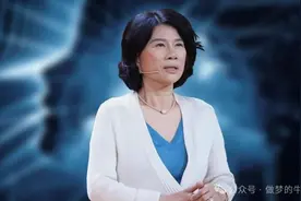 聊聊董明珠（8000字）图片